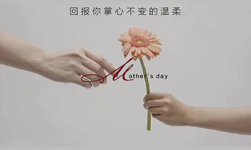 苏州电视台母亲节报道视频