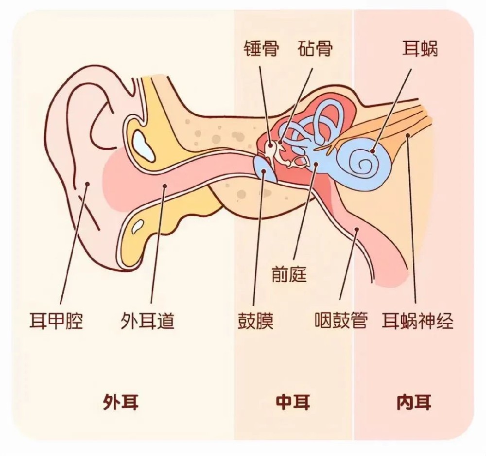 明明感觉听力下降，为什么检查结果却“正常”？