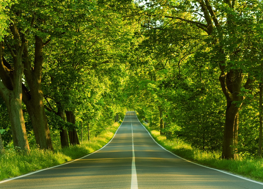 夏季护耳，这些细节别忽略