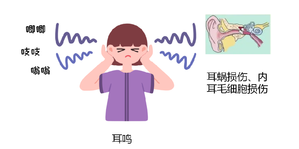 老年听力：为何偏偏 “怕” 高血压？